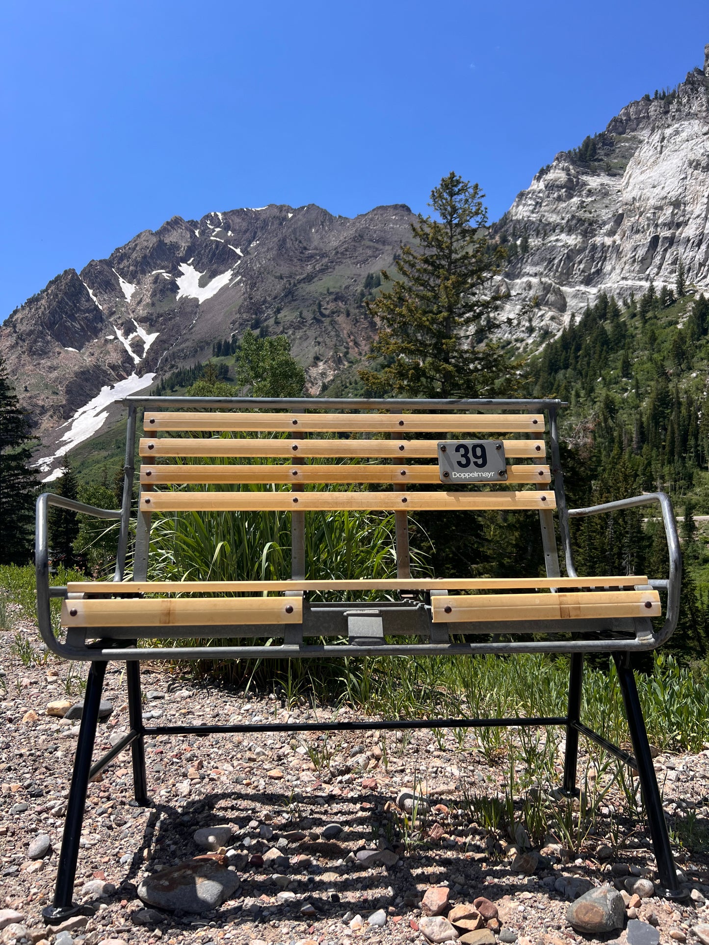 Snowbird Wilbere Lift Chair